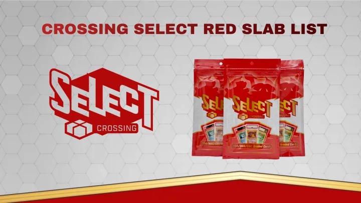 Mystery Packs — Graded Card Mystery Boxes | Crossing TCG