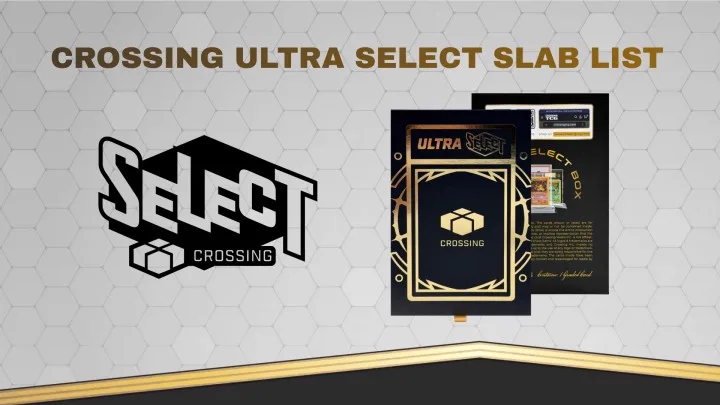 Mystery Packs — Graded Card Mystery Boxes | Crossing TCG