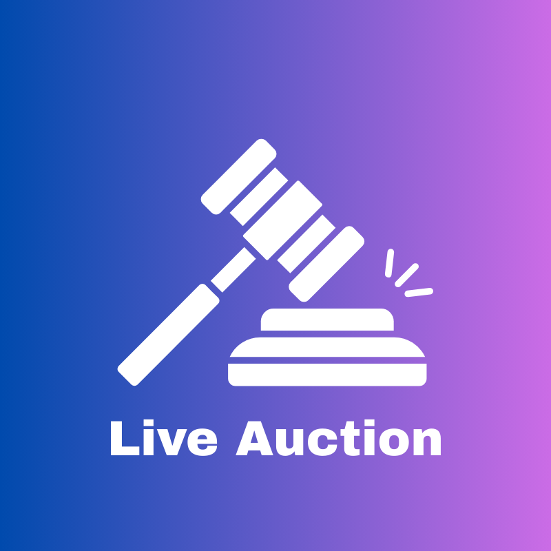 LIVE AUCTION - Pokemon/One Piece/Weiss Booster Pack